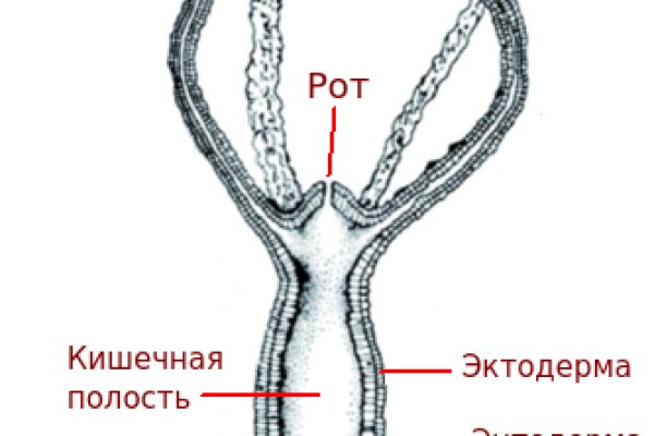 Официальный сайт кракен тор