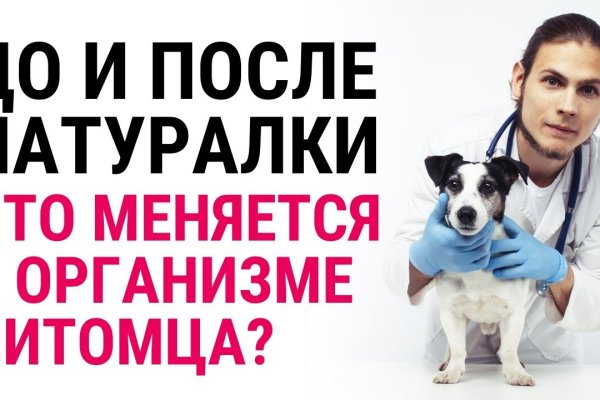 Зайти на кракен тор