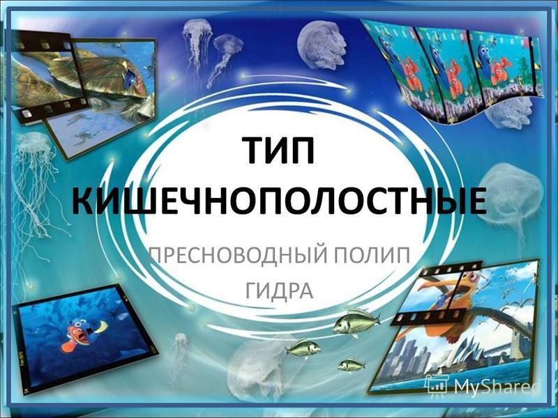 Кракен тор